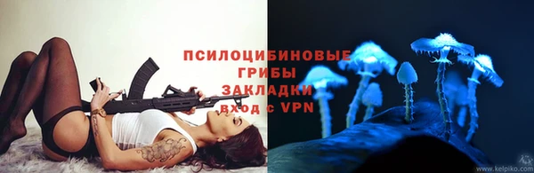 мескалин Богданович