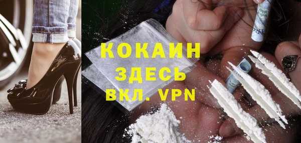 ECSTASY Богородицк
