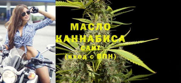 ECSTASY Богородицк