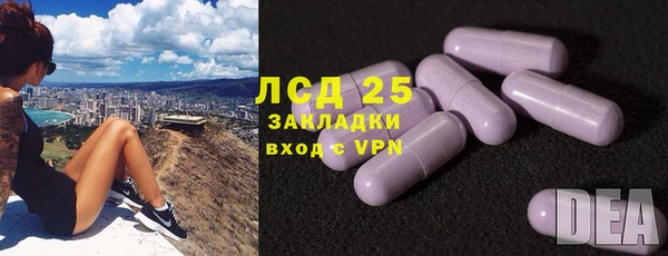 мескалин Богданович